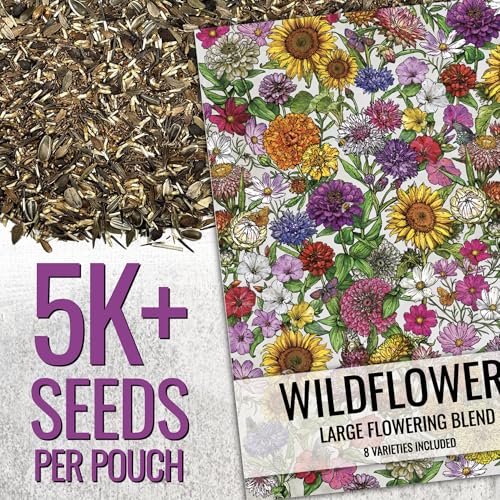Seed Needs Wildflower Seeds Large Blooms Mix 5 Bulk Packs (1 Ounce Each) - size: 5 Packs, style: Large Blooms Mix