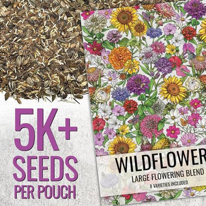 Seed Needs Wildflower Seeds Large Blooms Mix 10 Bulk Packs (1 Ounce Each) - size: 10 Packs, style: Large Blooms Mix