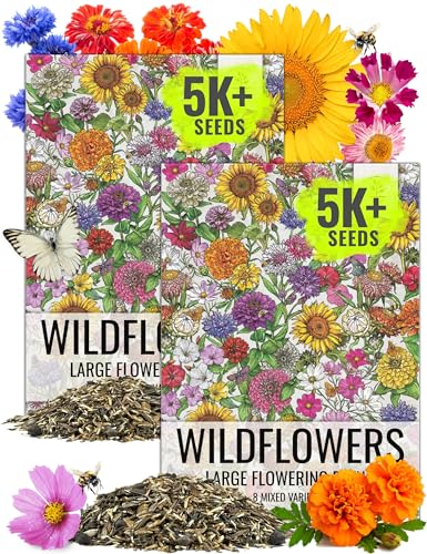 Seed Needs Garden Flower Seeds Large Blooms Mix Hummingbird and Butterfly | 2 Packs (1 Ounce Each) No Filler 7 Varieties Open Pollinated | Resealable Package Live Wild Flower Seed | Bulk - size: 2 Packs, style: Large Blooms Mix