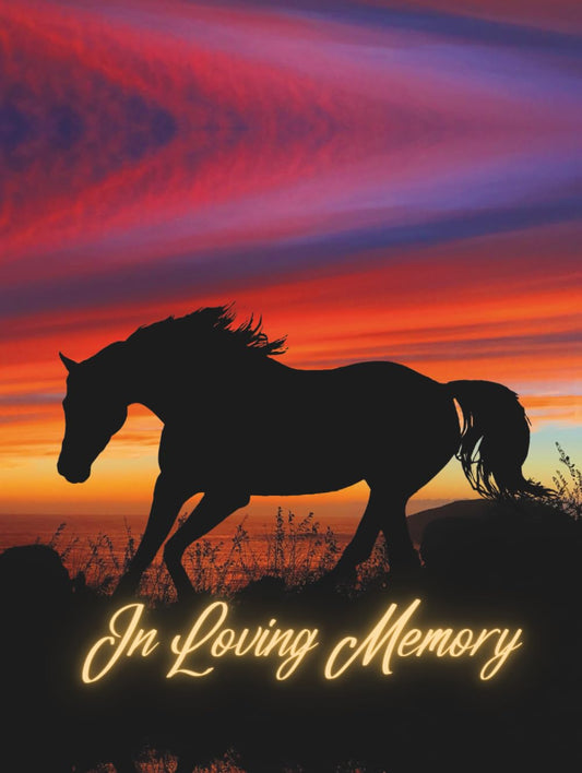 Guest Book: Funeral Service Guest Book, Aurora Horse Memorial Book – A Beachside Guest Registry for Equestrian Tributes, Northern Light Vigils & 'In Loving Memory' Moments