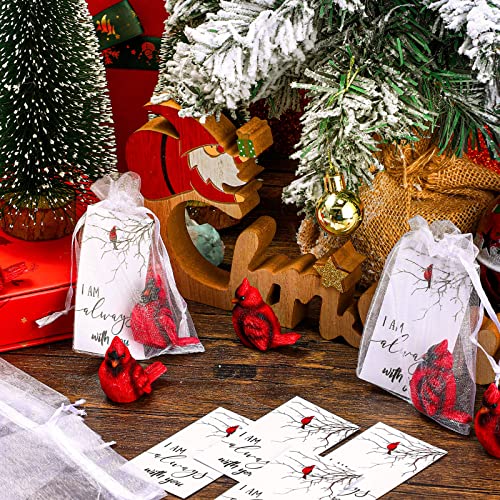 Roowest 18 Pcs Chrismas Cardinal Memorial Gift Set | Include Mini Red Cardinal Bird Statue Figures to Hide, Red Feathered Card, Organza Bag, For Memorial Gift, Christmas Decor
