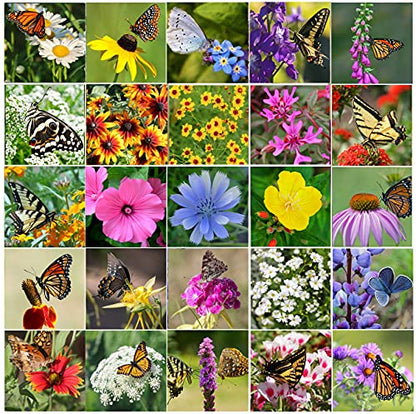 Perennial Wildflower Seeds Package with 25 Different Varieties 100,000 Seeds, Hummingbird and Butterfly Garden, Popular Perennial Flower, Non-GMO Wildflower Mix for Your Garden
