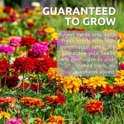 Bulk Wildflower Seeds Butterfly and Humming Bird Mix - 1/4 Pound Bag - Over 30,000 Open Pollinated Annual and Perennial Seeds - size: 1/4 Pound