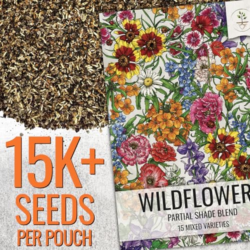 Seed Needs Wildflower Seeds Partial Shade Mix 2 Bulk Packs (1 Ounce Each) - size: 2 Packs, style: Partial Shade Mix