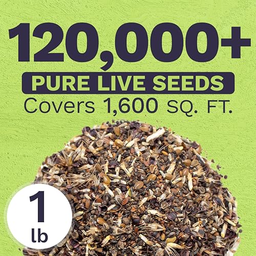 California Natives Mix - Bulk 1 Pound Bag - Over 120,000 Native Seeds - Open Pollinated and Non GMO - size: Bulk 1 Pound, style: California Regional Mix