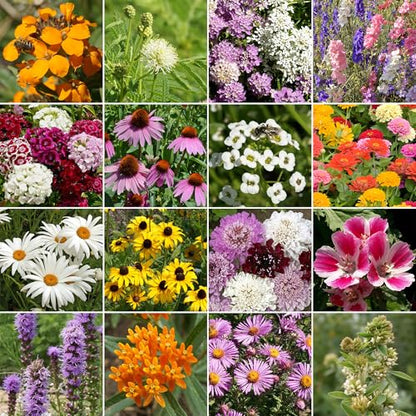 Ferry-Morse Butterfly Bulk Wildflower Seeds, 210,000+, 1 lb - color: Butterfly
