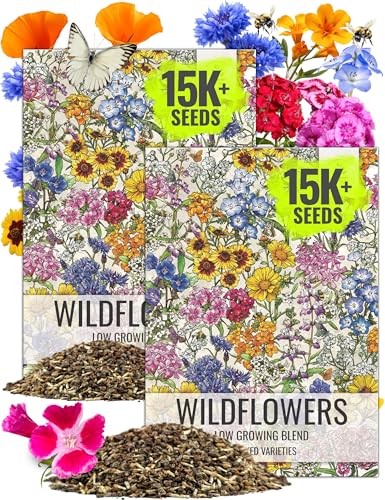 Seed Needs Low Growing Wildflower Seed Mix 2 Bulk Packs (1 Ounce Each) - size: 2 Packs, style: Low Growing Mix