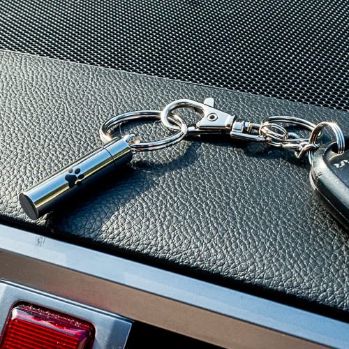 Paw Print Keychain for Ashes, Stainless Steel, Key Chain, Cremation Jewelry for Ashes, Cremation Keychain for Ashes