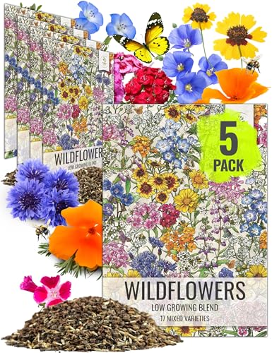 Seed Needs Low Growing Wildflower Seed Mix 5 Bulk Packs (1 Ounce Each) - size: 5 Packs, style: Low Growing Mix