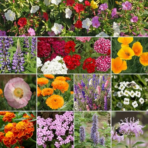 Ferry-Morse Deer Resistant Bulk Wildflower Seeds, 530,000+, 1 lb - color: Deer Resistant