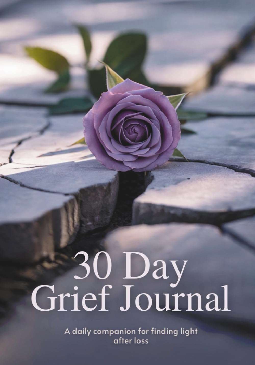 30 Day Grief Journal: A daily companion for finding light after loss