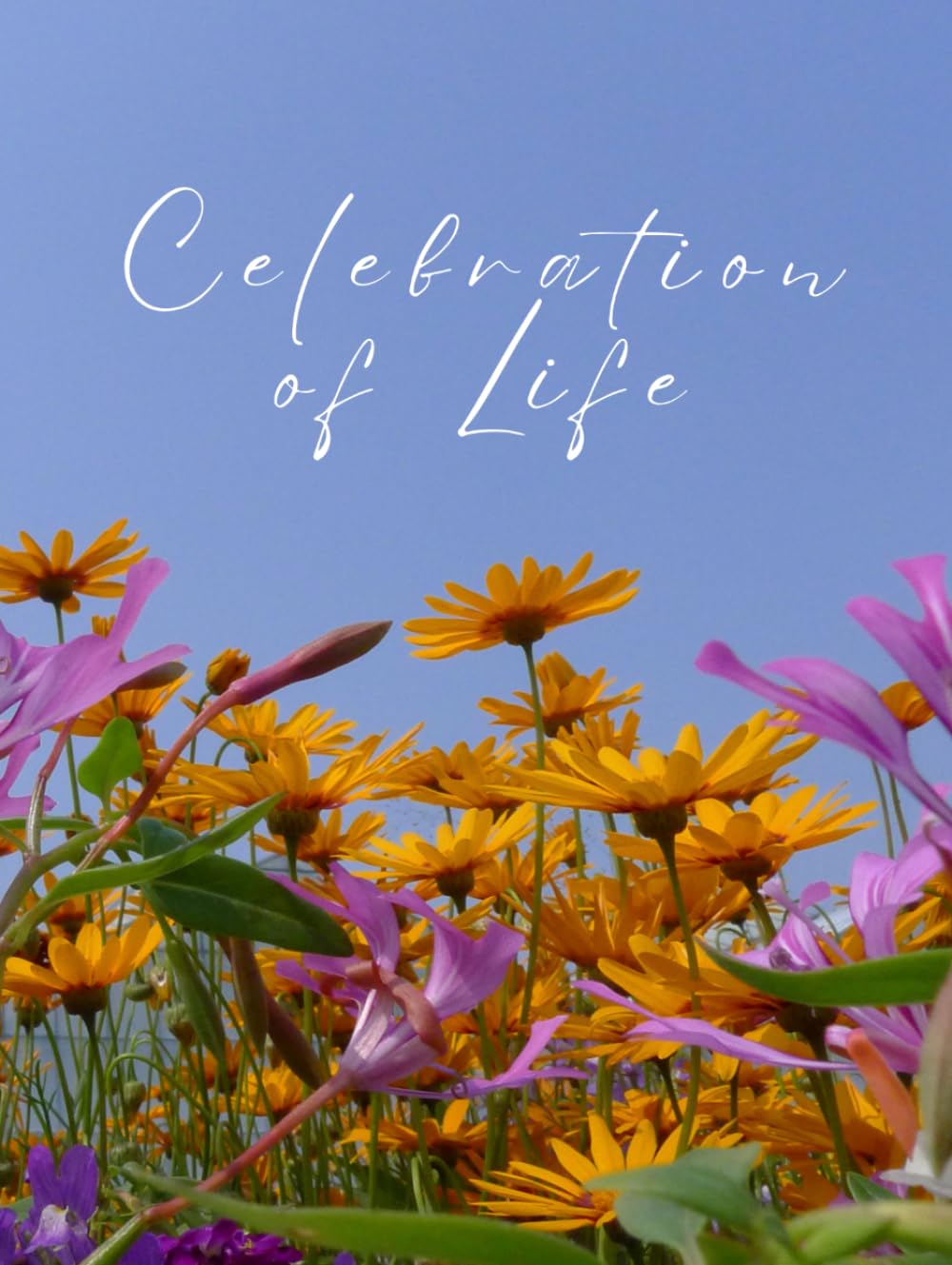 Celebration of Life: Guest Book for Funeral and Memorial Ceremony, 300 Person Sign In Registry (Sunny Wildflower Field Cover)