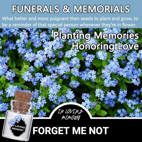 Bulk 50 Memorial Cards Funeral Favors for Guest, Funeral Wake Celebration of Life Decorations, In Loving Memory of Loved One Memorial Gifts, No Seed (Leaf Cards)