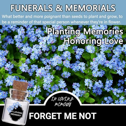 Bulk 50 Memorial Cards Funeral Favors for Guest, Funeral Wake Celebration of Life Decorations, In Loving Memory of Loved One Memorial Gifts, No Seed (Leaf Cards)