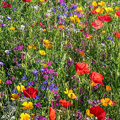 The Old Farmer's Almanac Premium Wildflower Seeds 23 Variety Pollinator Mix - Non-GMO, Open Pollinated - Columbine Cosmos Foxglove Larkspur Poppy Snapdragon Zinnia - Attracts Butterflies Bees Birds