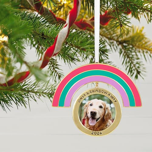 Hallmark Keepsake Christmas Ornament 2024, Only a Rainbow Away Photo Frame, Metal, Pet Gift - style: 2024 Only A Rainbow Away