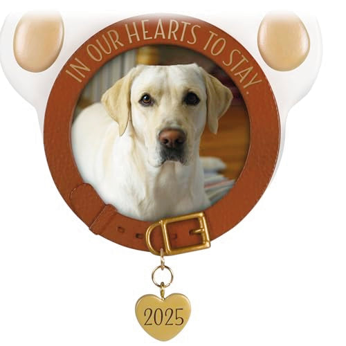 Hallmark Keepsake Christmas Ornament, in Our Hearts to Stay Paw Print Pet Photo Frame, Year-Dated 2025