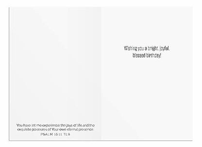 DaySpring - Birthday Balloons - 4 Balloon Designs Assortment with Scripture - 12 Happy Birthday Boxed Cards & Envelopes (U0057)